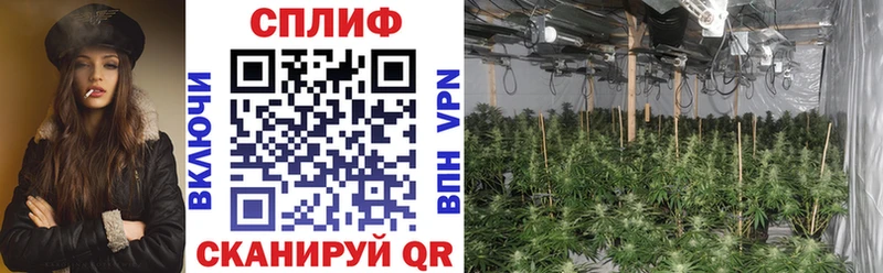 Купить закладку ГАШ Конопля СОЛЬ Меф мяу мяу Cocaine Тольятти