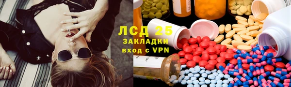 эйфоретик Бородино