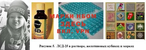 эйфоретик Бородино