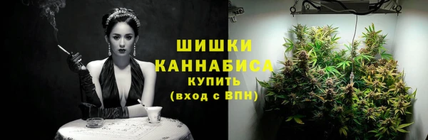 эйфоретик Бородино