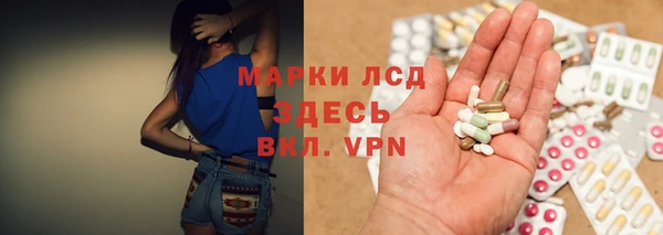 эйфоретик Бородино